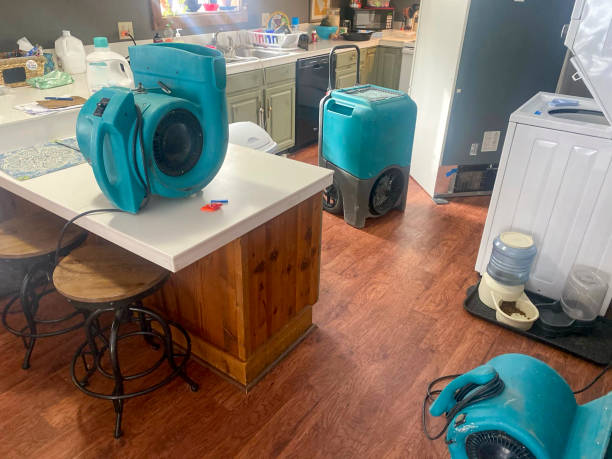 Best Ceiling water damage repair  in Augusta, AR