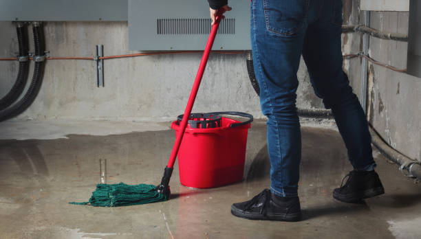 Best Water damage cleanup near me  in Augusta, AR