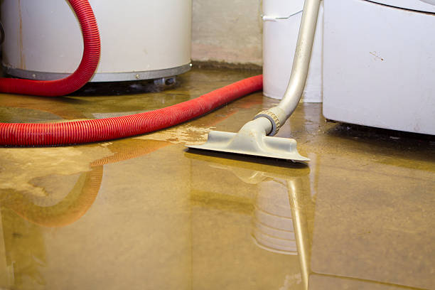 Best Commercial water damage restoration  in Augusta, AR