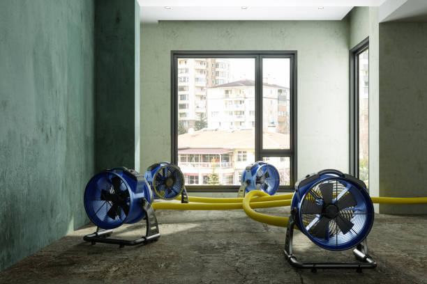 Best Emergency water damage restoration  in Augusta, AR